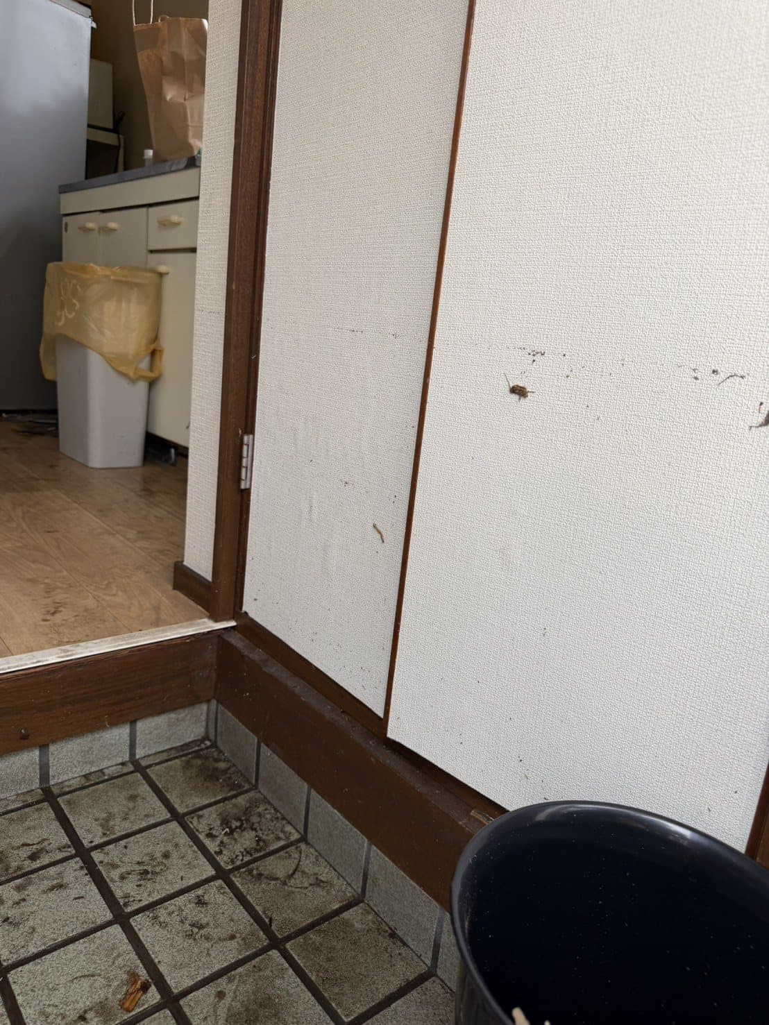 床上浸水の被害直後、玄関からタイル床にかけて泥が流れ込んだ様子(千葉県佐倉市、2026年8月)